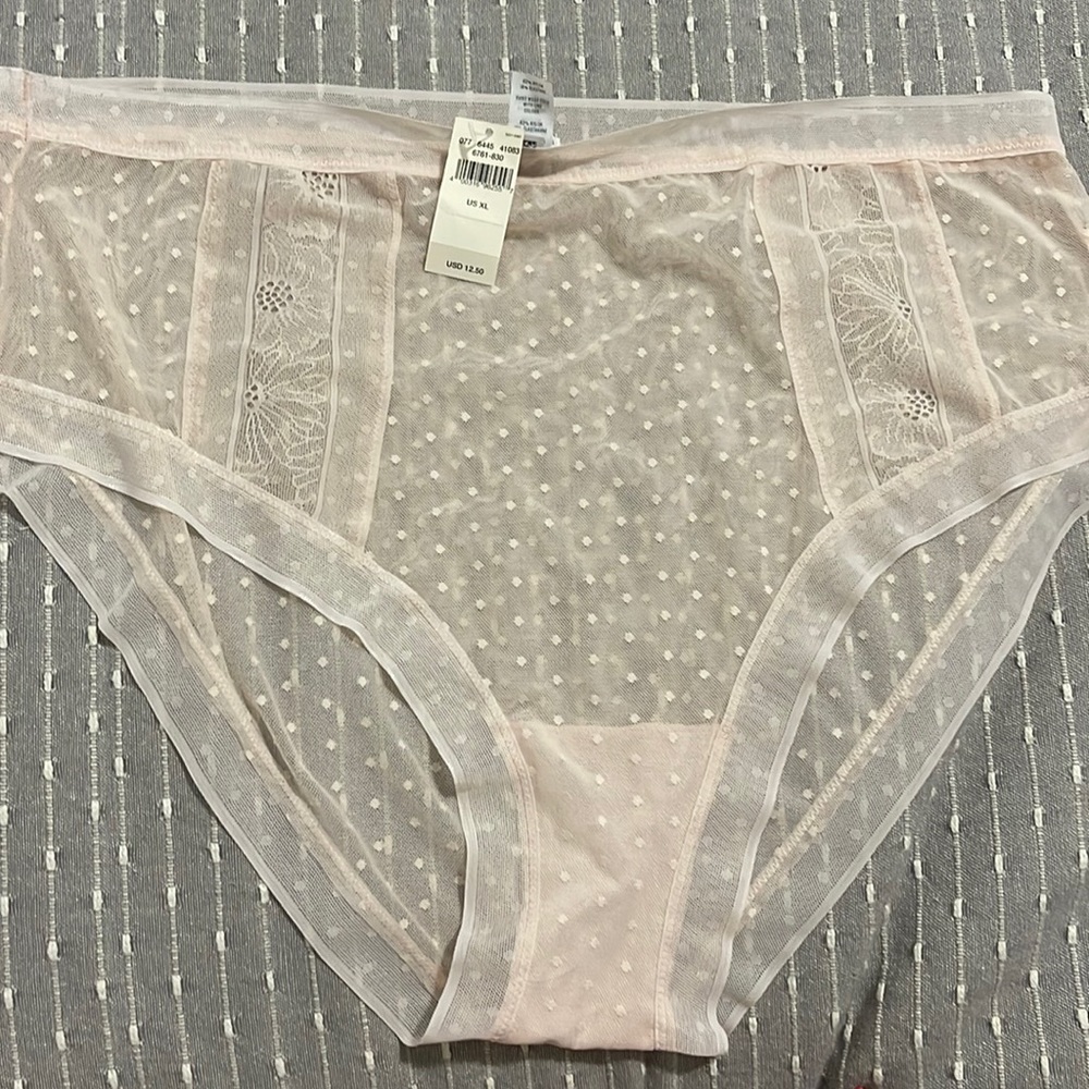 NWT PANTIES